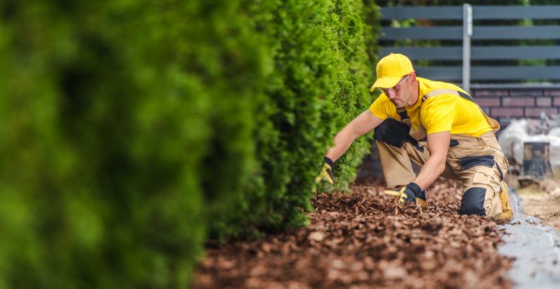 Landscaping Service